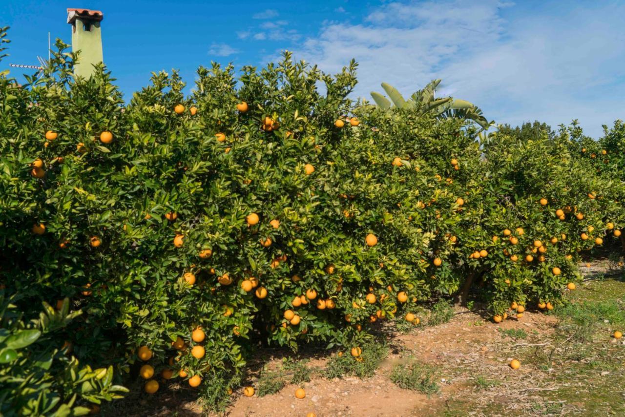 Casa La Naranja Boutique B&B Pedreguer Luaran gambar
